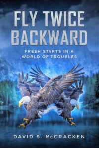 Fly Twice backward book cover