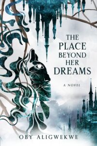 cover of place beyond her dreams