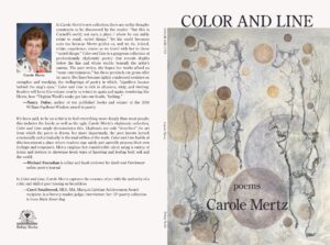 cover for color and line