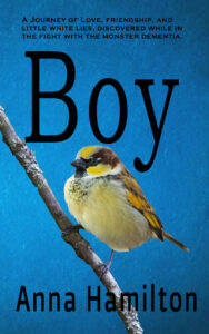 cover of Boy