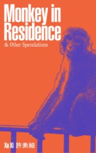 Interview with writer Xu Xi