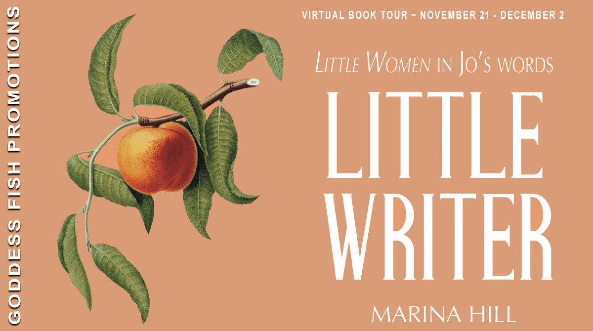 tour banner for little writer