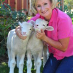 pic of Marlene Bell and 2 twin lambs