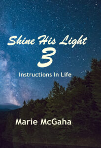 book cover of instructions in life shine his light 3