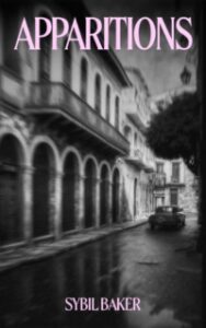 Interview with novelist Sybil Baker