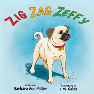 cover for zig zag zeffy