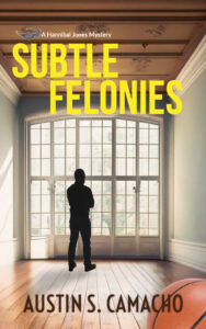 book cover for subtle felonies