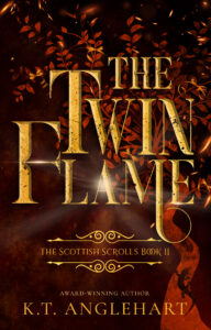 book cover of the twin flame