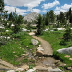 image of winding trail