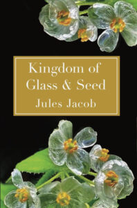 cover for kingdom of glass & seed