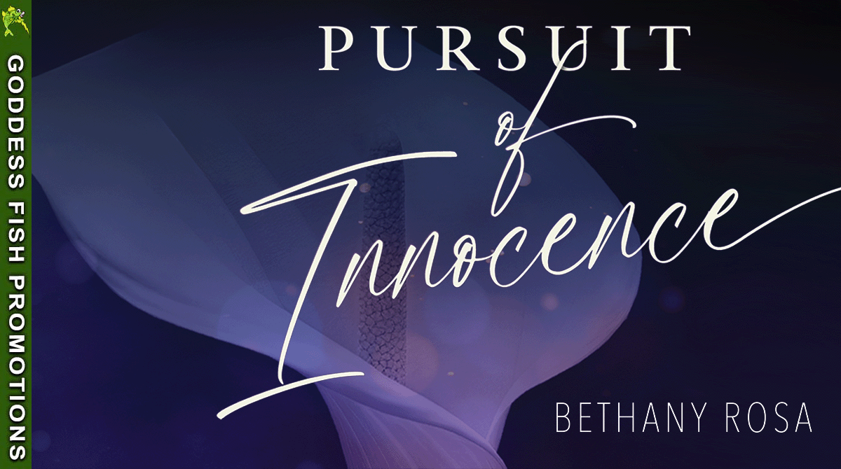 tour banner for pursuit of innocence