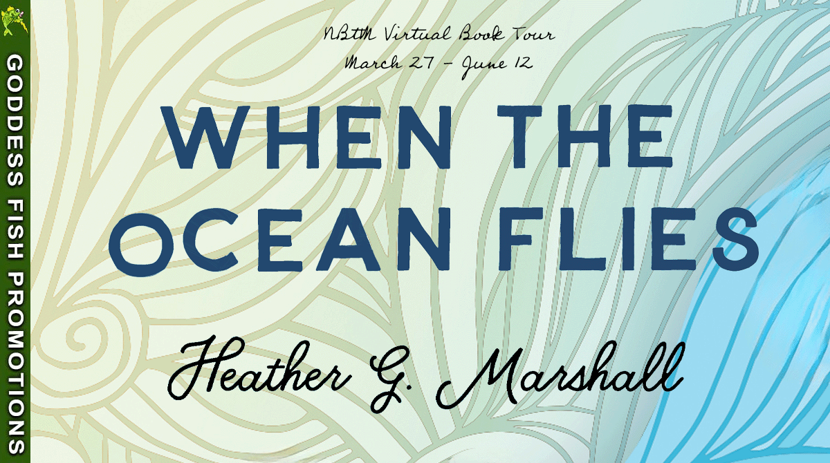 tour banner for when the ocean flies