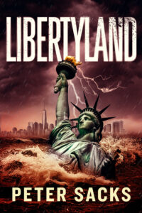 book cover for libertyland