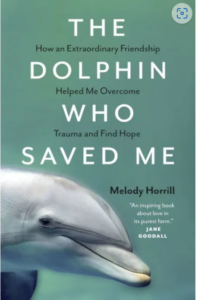 cover for the dolphin who saved me