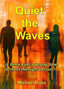 book cover for quiet the waves