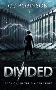 divided book cover