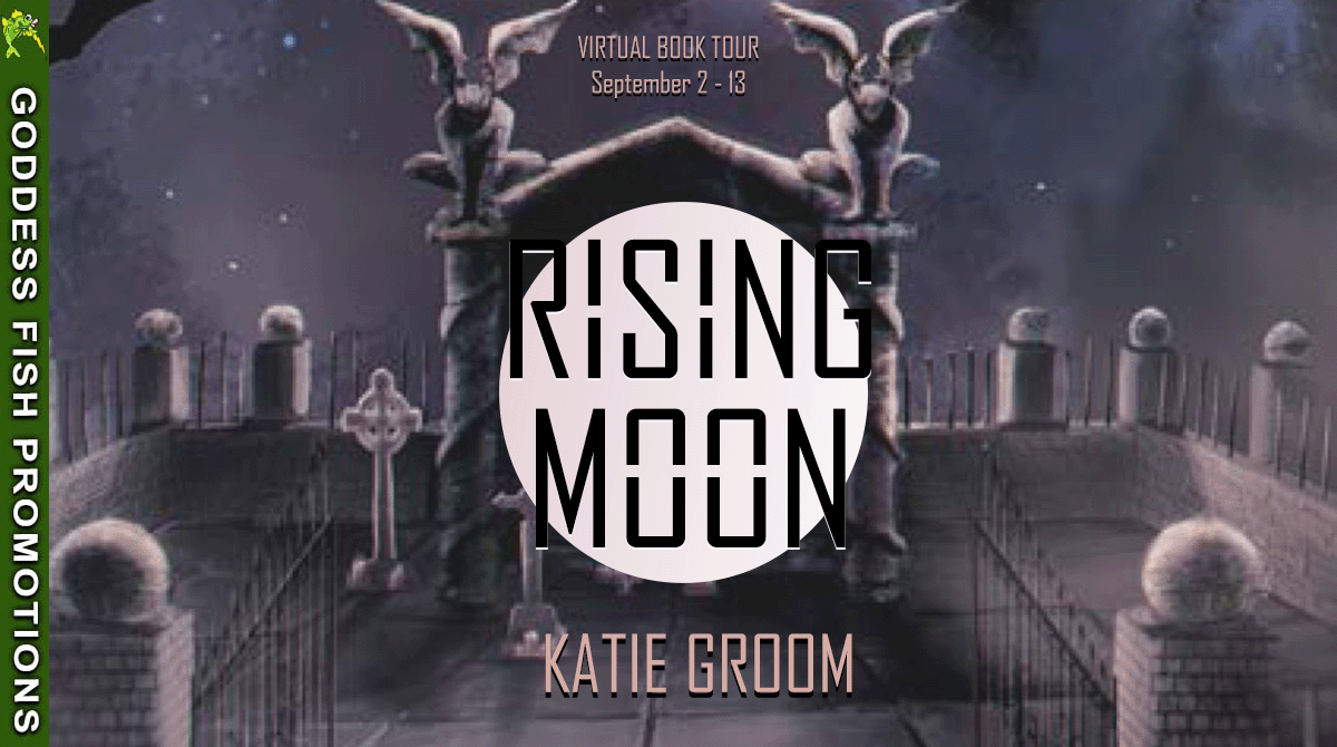 tour banner for rising moon