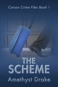 cover for the scheme