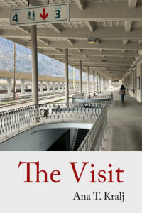 cover for the visit