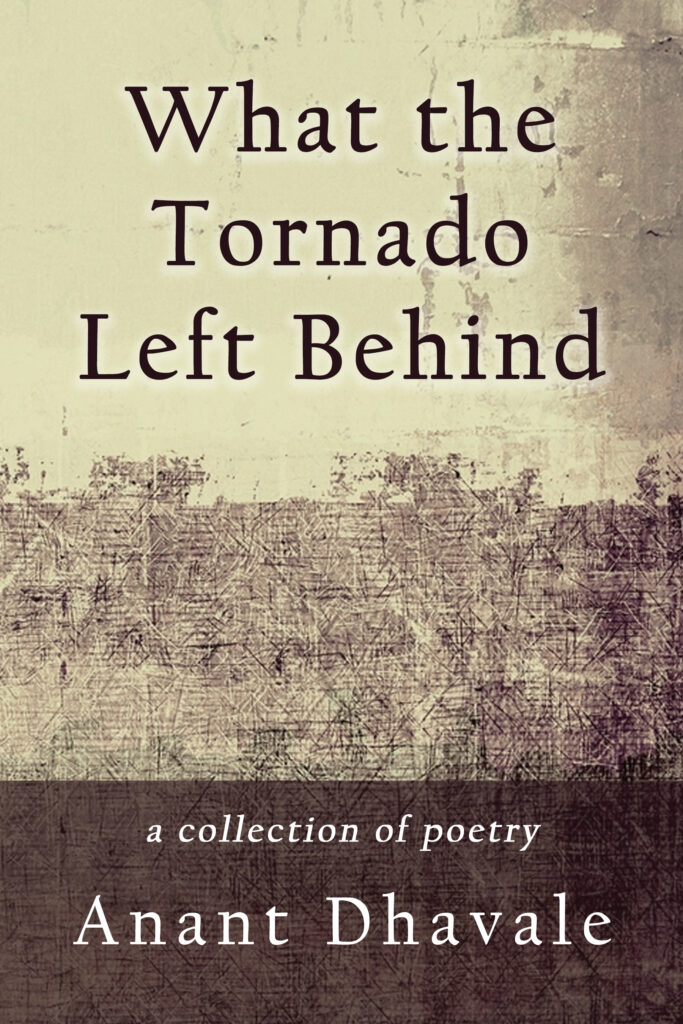 cover for What the Tornado Left Behind