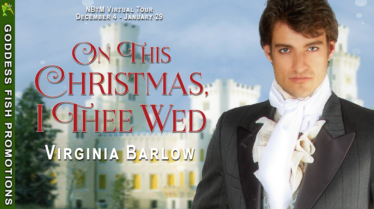 tour banner for on this christmas i thee wed