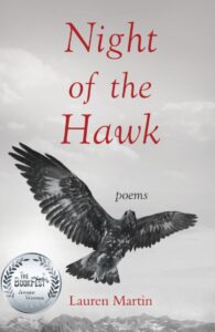 cover for night of the hawk