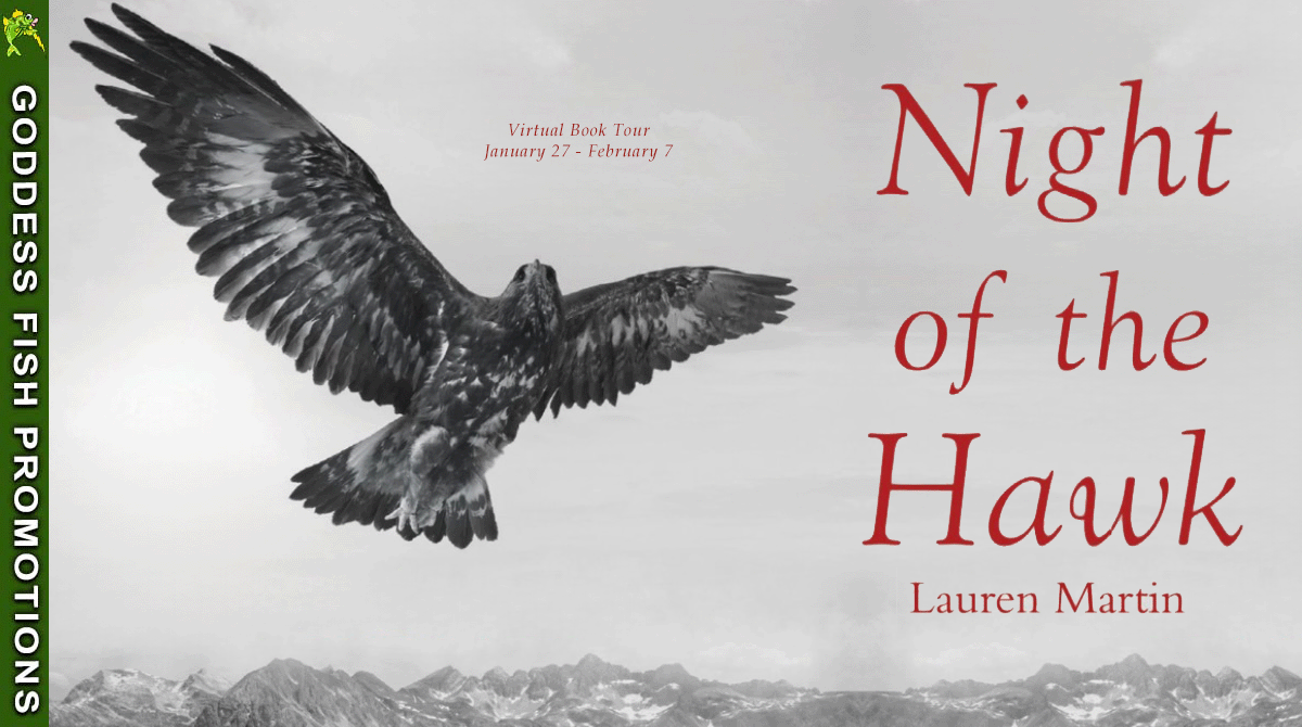 tour banner for night of the hawk