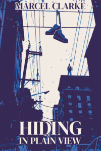 cover for Hiding in Plain View