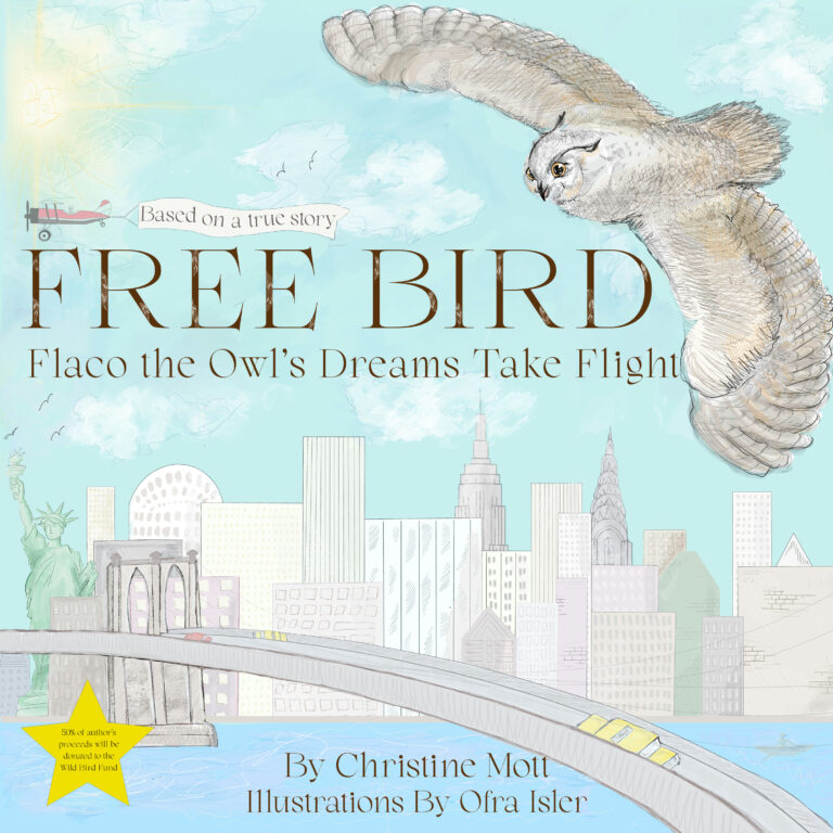 Interview with children's author Christine Mott