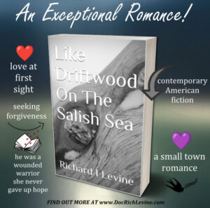 cover for like driftwood on the salish sea