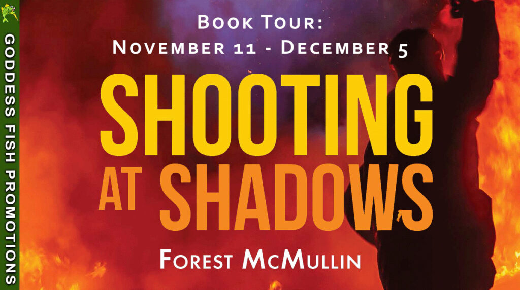 tour banner for shooting at shadows