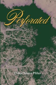 cover for perforated